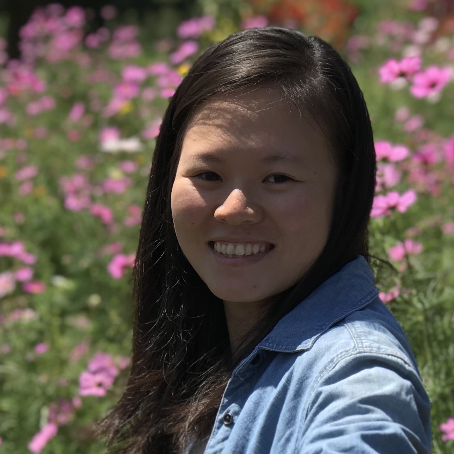 dr jenny fong senior research fellow coastal protection and flood resilience institute