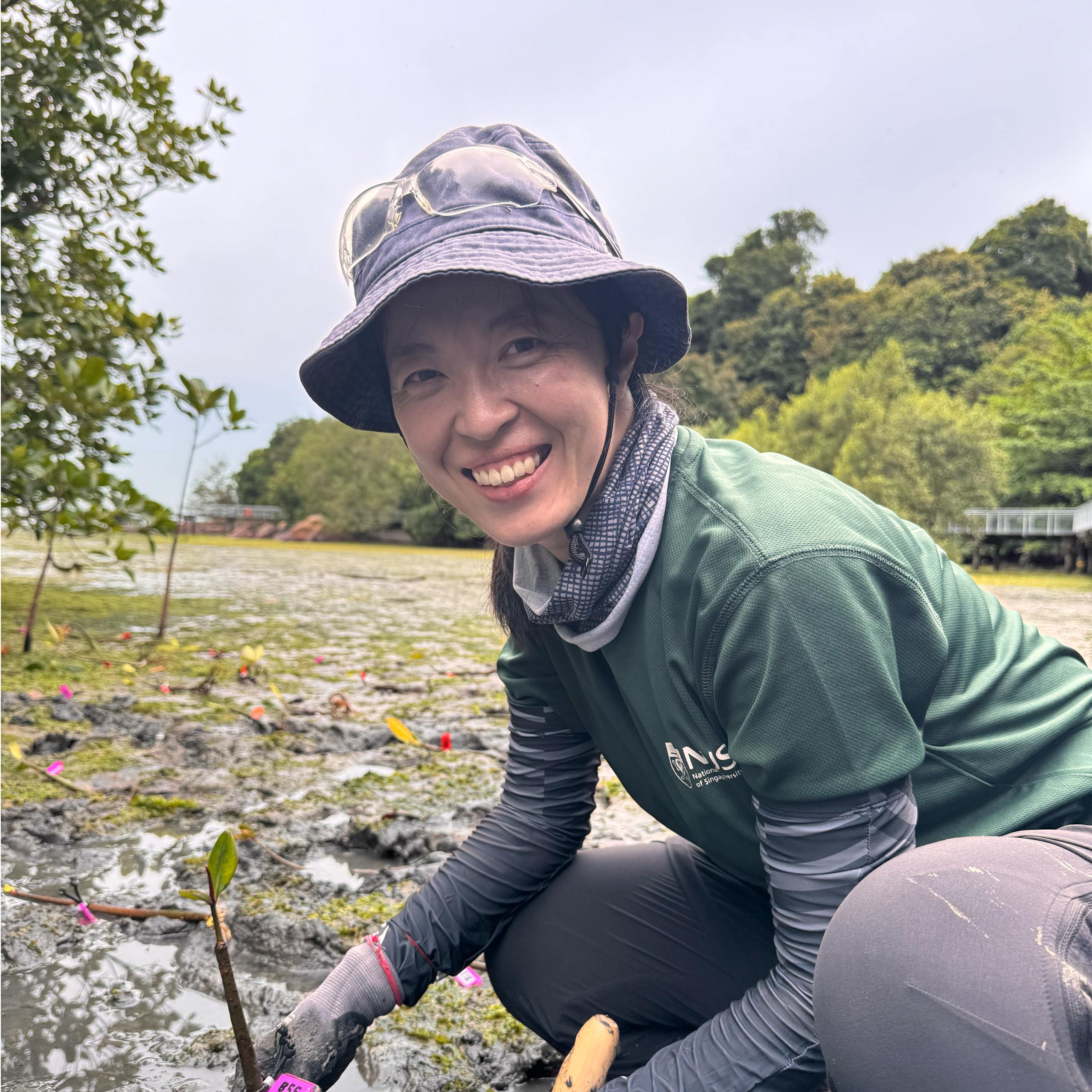 dr song shuang research fellow